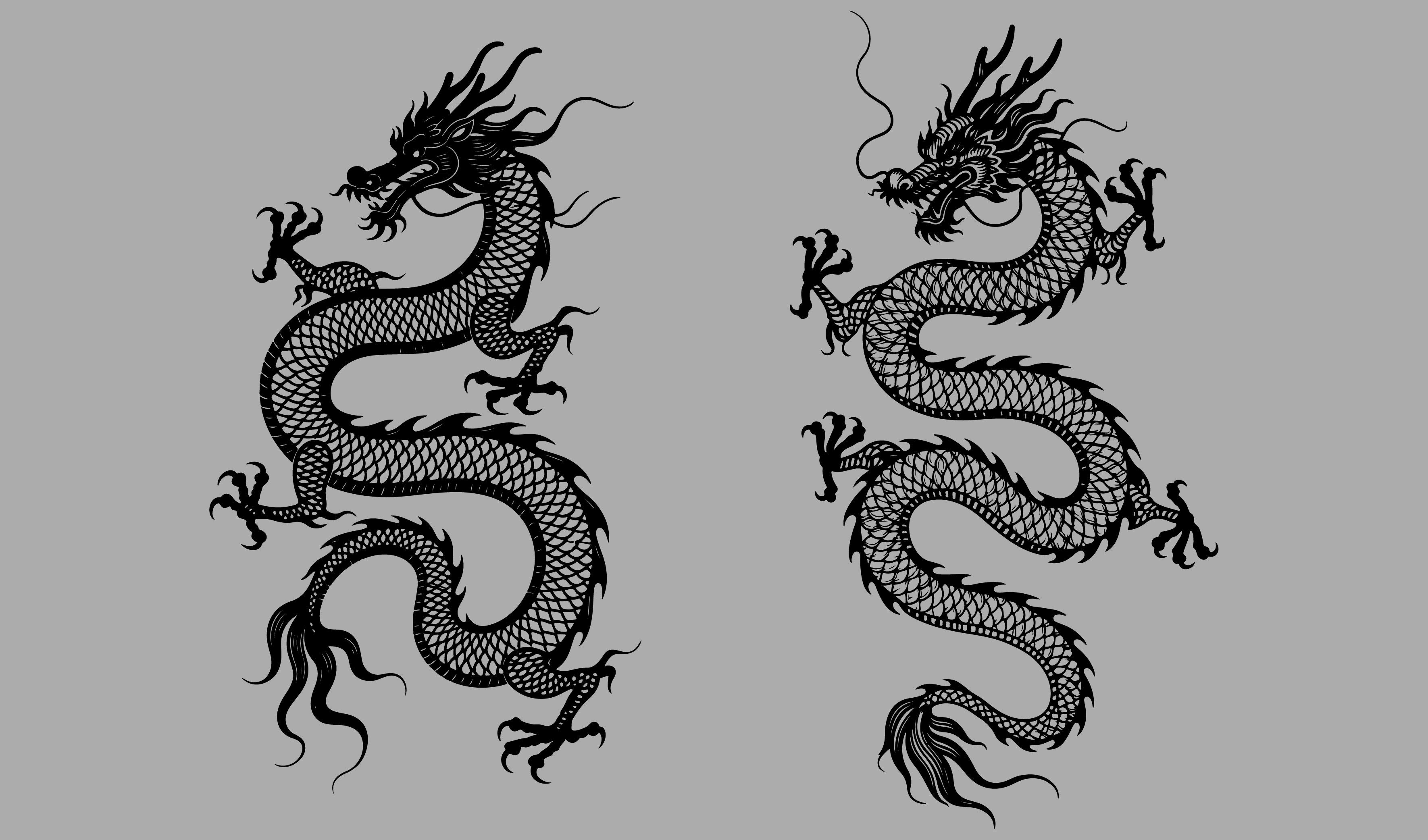 传统-酒类插画元素&mdash;&mdash;龙插画